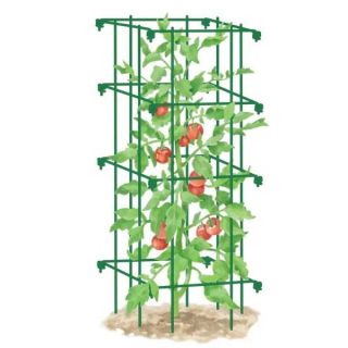 Hinged Tomato Cages Green Thumbnail